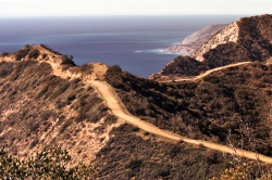 Scenic views of the ocean and Catalina's rugged landscape from East End Adventure